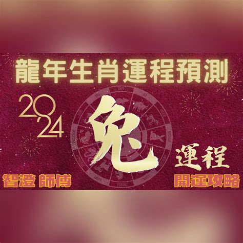 2024年兔運程|2024生肖兔整年運勢一次看！多注意健康、主動做一。